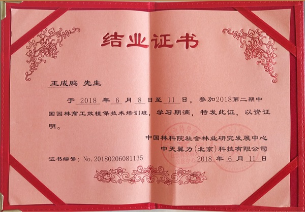 中国园林高工效植技术培训结业证书